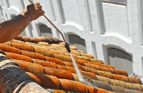 Démoussage de toiture à Tauriac
